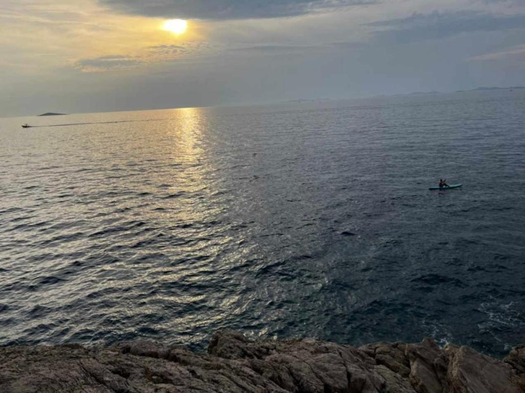 Violeta Hvar هفار المظهر الخارجي الصورة