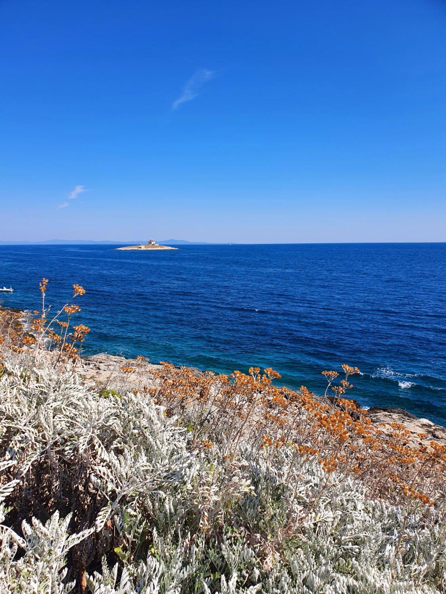 Violeta Hvar هفار المظهر الخارجي الصورة