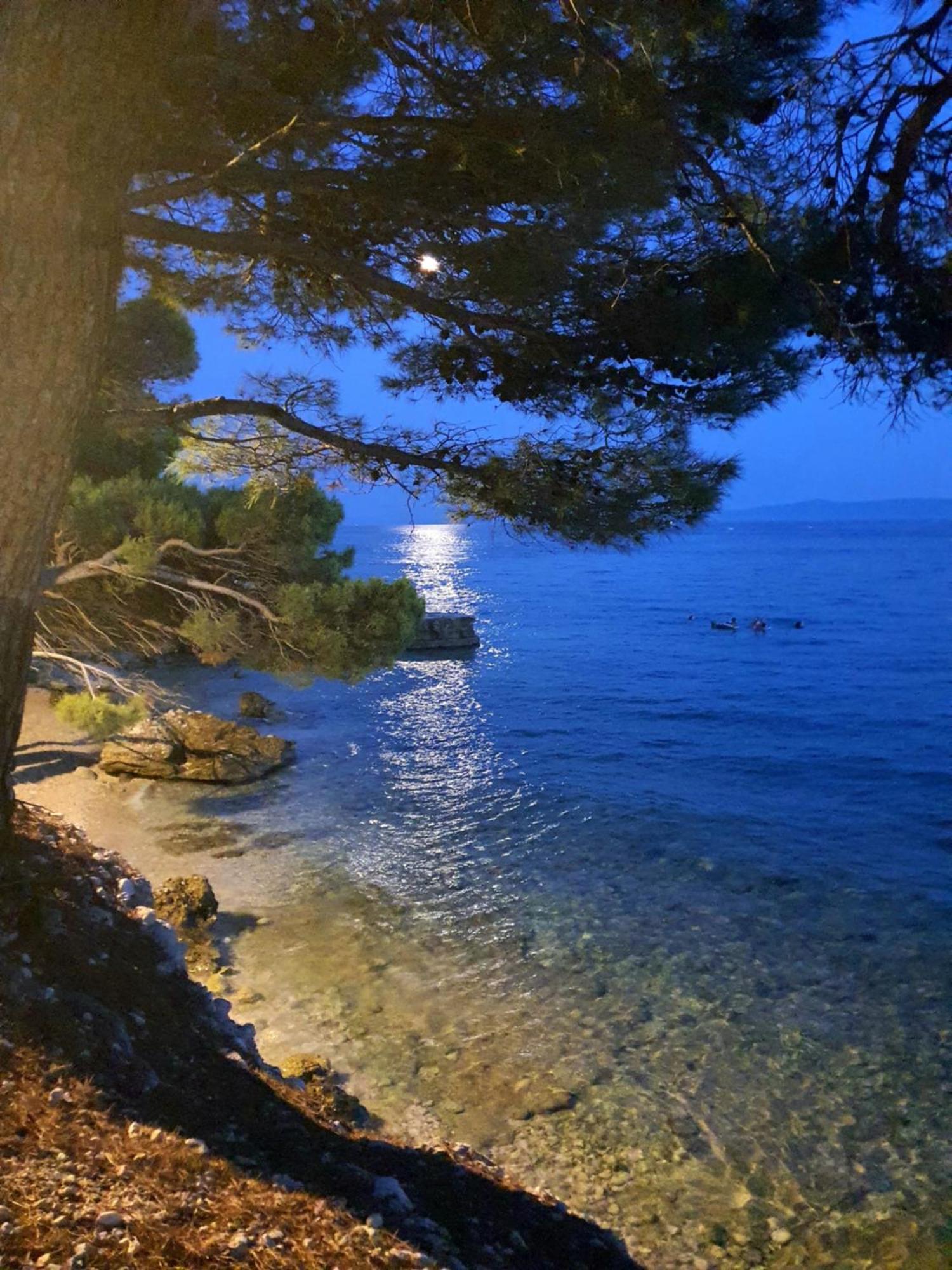 Violeta Hvar هفار المظهر الخارجي الصورة
