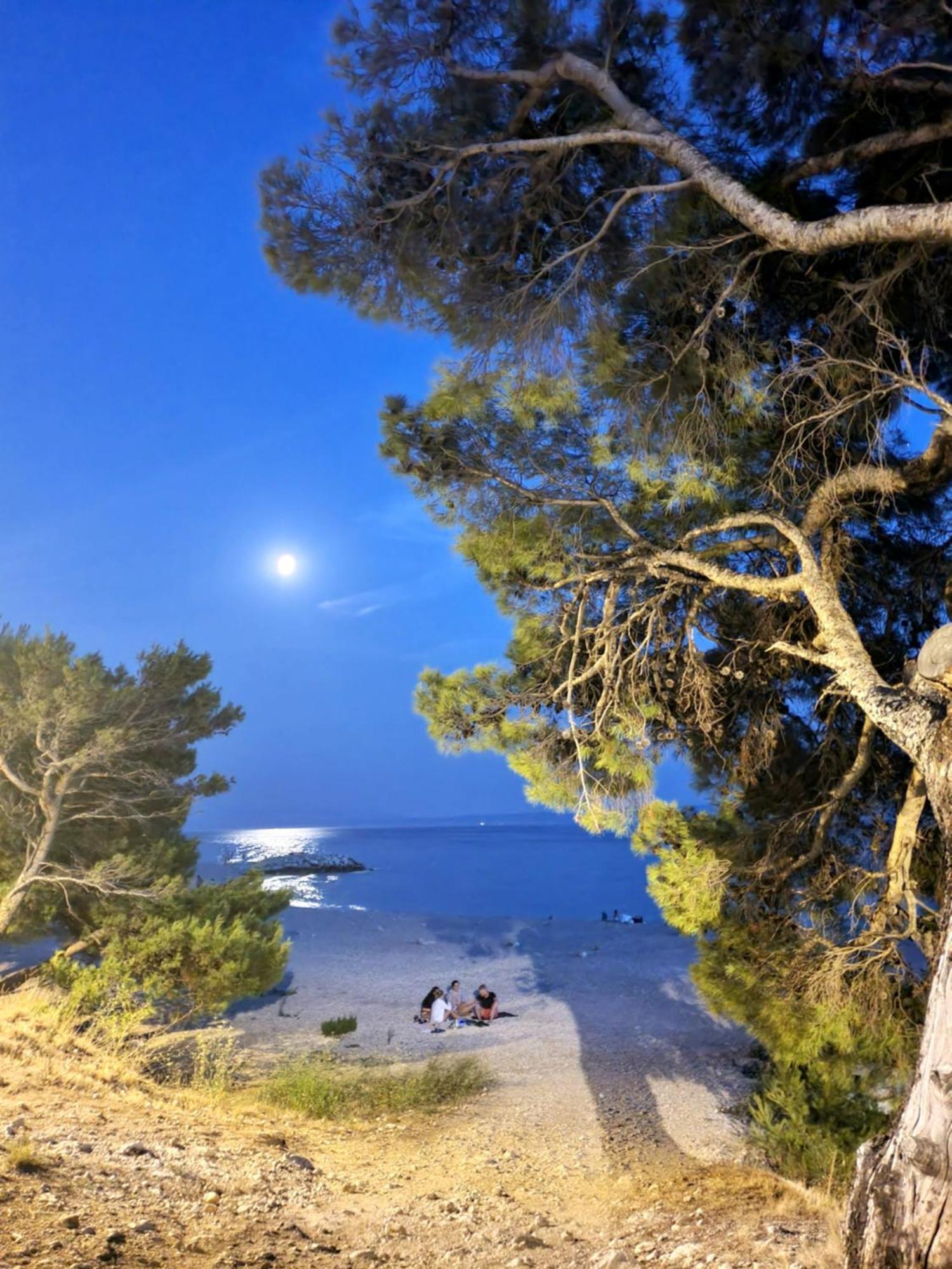 Violeta Hvar هفار المظهر الخارجي الصورة
